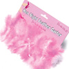 Hen Night Feather Garter Hen Night Feather Garter