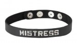 Sm Collar-mistress